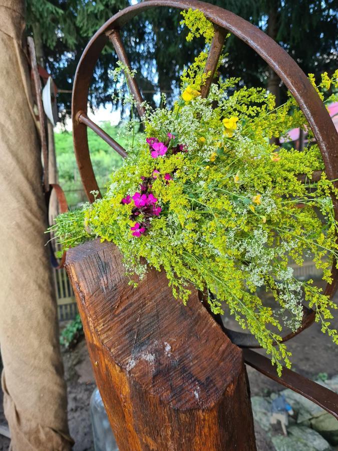 ホテルLa Padure Brebu エクステリア 写真